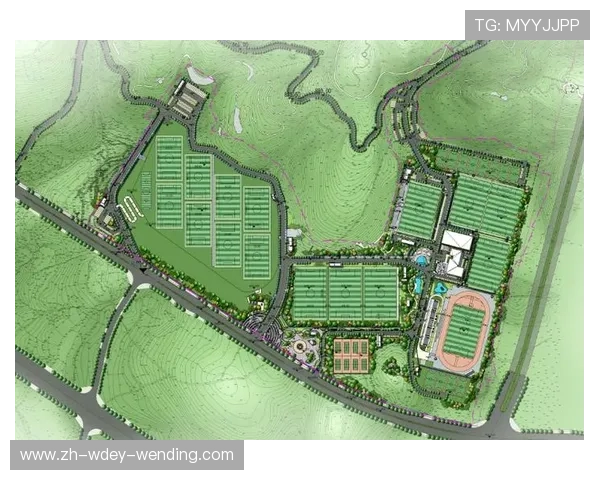 足球导览图设计是否帮助观众快速熟悉比赛场馆全貌